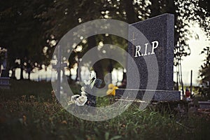 Single tombstone with RIP sign in old graveyard. Close up of gravestone in grass with flower and Rest in Peace text. Funeral