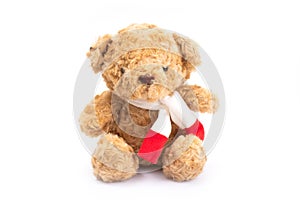 Single toy teddy bear