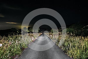 Single track asphalt road in the headlights of a car at night