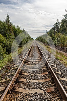 Single-track railway in the forest