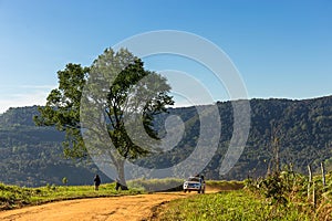 Single tree and a car running on dirt road on mountain