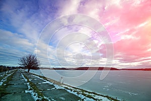 Single tree on a dam on a frozen lake. Winter landscape