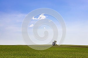 Single tree in field alone against blue sky with fluffy clouds