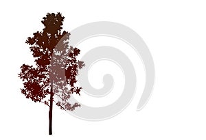 A single tree silhouette in brown tones