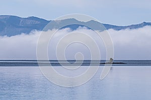 Single Tree on a small island