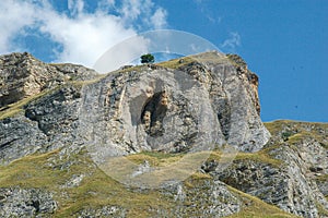 A single tree at the top of the mountain, Sar mountain