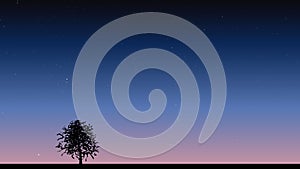 Single tree under night sky with stars Vector