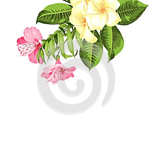 Single tropical flower bouquet at the top corner of image over white background. Blossom flowers for invitation card.