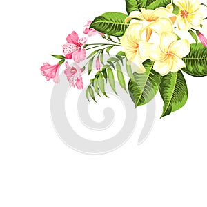 Single tropical flower bouquet at the top corner of image over white background. Blossom flowers for invitation card.