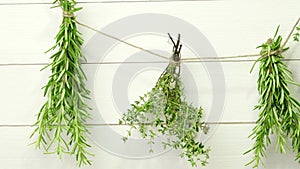 Single twigs of Thyme and Rosemary