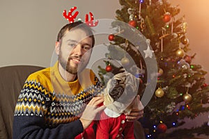 Single unmarried man with his pug dog is sitting near Christmas tree at home. Celebrate Christmas with your lovely pet