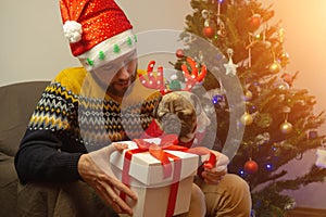 Single unmarried man with his pug dog is sitting near Christmas tree at home. Celebrate Christmas with your lovely pet