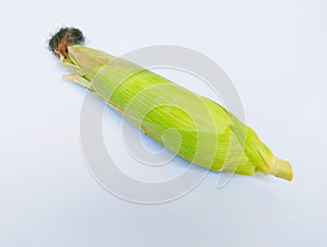 Single unpeeled sweet corn on the cob yellow maize cobs whole ear-corn sweetcorns zea mays makka bhutta maiz milho mais photo photo