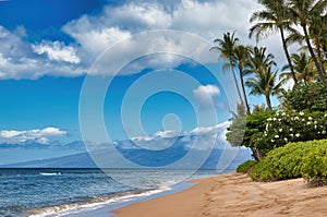 Single unrecognizable person on Ka`anapali beach during covid-19.