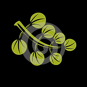 Single vector flat green leaf. Herbal and botany art symbol, spring season stylized ecology icon. Environment conservation