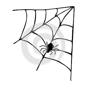 Single vector illustration of a spider web and a spider. Hand-drawn spider web, Halloween icon