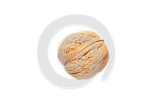 Single walnut is isolated on white background