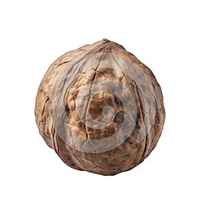 A Single Walnut Shell Isolated on a Black Background