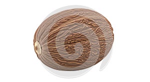 Single walnut shell isolated on white background isolated on white background
