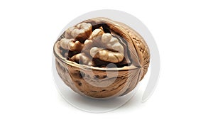 Walnut on White Background food healthy shell open brown isolate