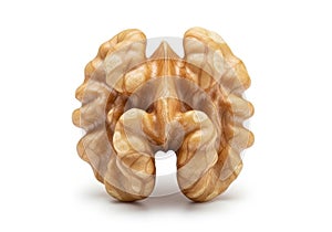Single walnut on white background