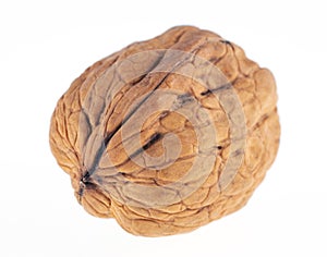 Single walnut on white background.