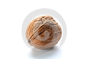 Single walnut on a white background