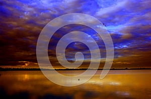 A single water bird on a calm and peaceful lake at sunset