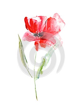 Single watercolor flower. Red poppy flower for wedding invitation decor. Floral birthday card template.