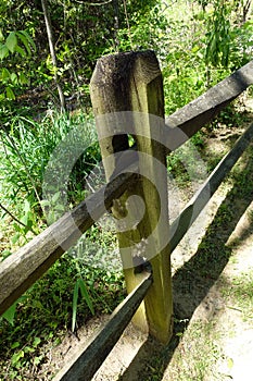 A Single Weathered Wooden Fence Post