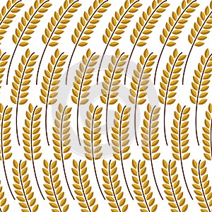 Single wheat spike on the white background