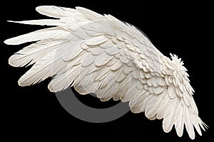 Single White Angelic Wing on Dark Background