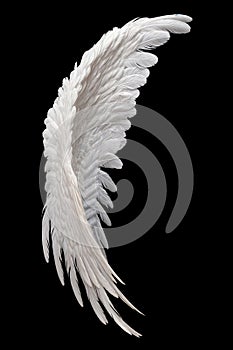 Single White Angelic Wing on Dark Background