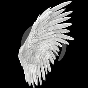 Single White Angelic Wing on Dark Background