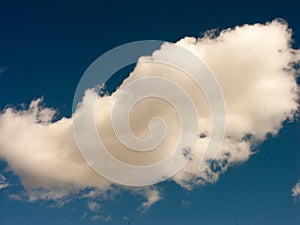 A single white Cloud in bright blue Sky