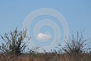 SINGLE WHITE CLOUD CLOSE TO THE HORIZON