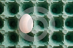 A single white egg arranged in a green egg carton.