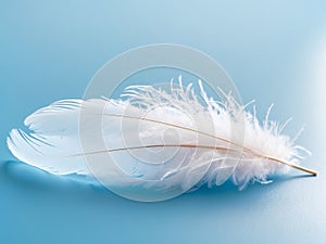 Single White Feather on Blue Background, Symbolizing Purity, Lightness and Gentleness.