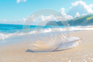 Single white feather on a sunny beach