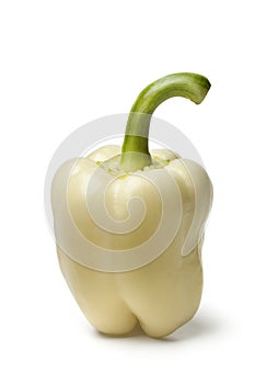 Single white fresh bell pepper