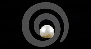 Single White Pearl on Velvet photo