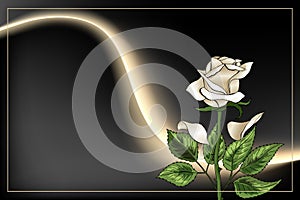 Single White Rose flower and frame on black background postcard template