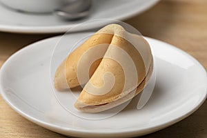 Single whole Chinese fortune cookie on a dish