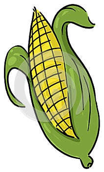 Single whole corn isolated illustration