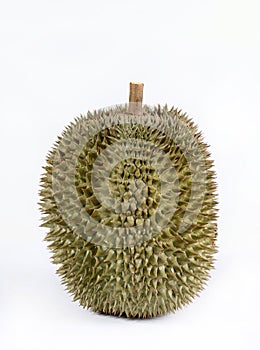 Single whole durian