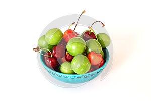 Single whole fresh green Can Erik plum and cherry close up isolated on white background.