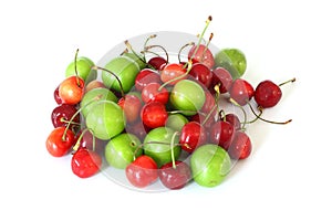 Single whole fresh green Can Erik plum and cherry close up isolated on white background.