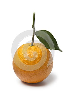 Single whole fresh orange with a leaf