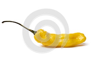 Single whole fresh raw ripe yellow Madame Jeanette pepper close up on white background