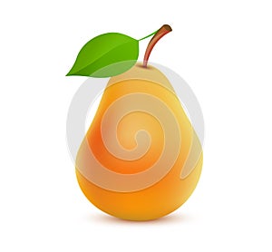 Single whole orange Pear color on white background - Vector realistic illustration of tasty juicy fruit.